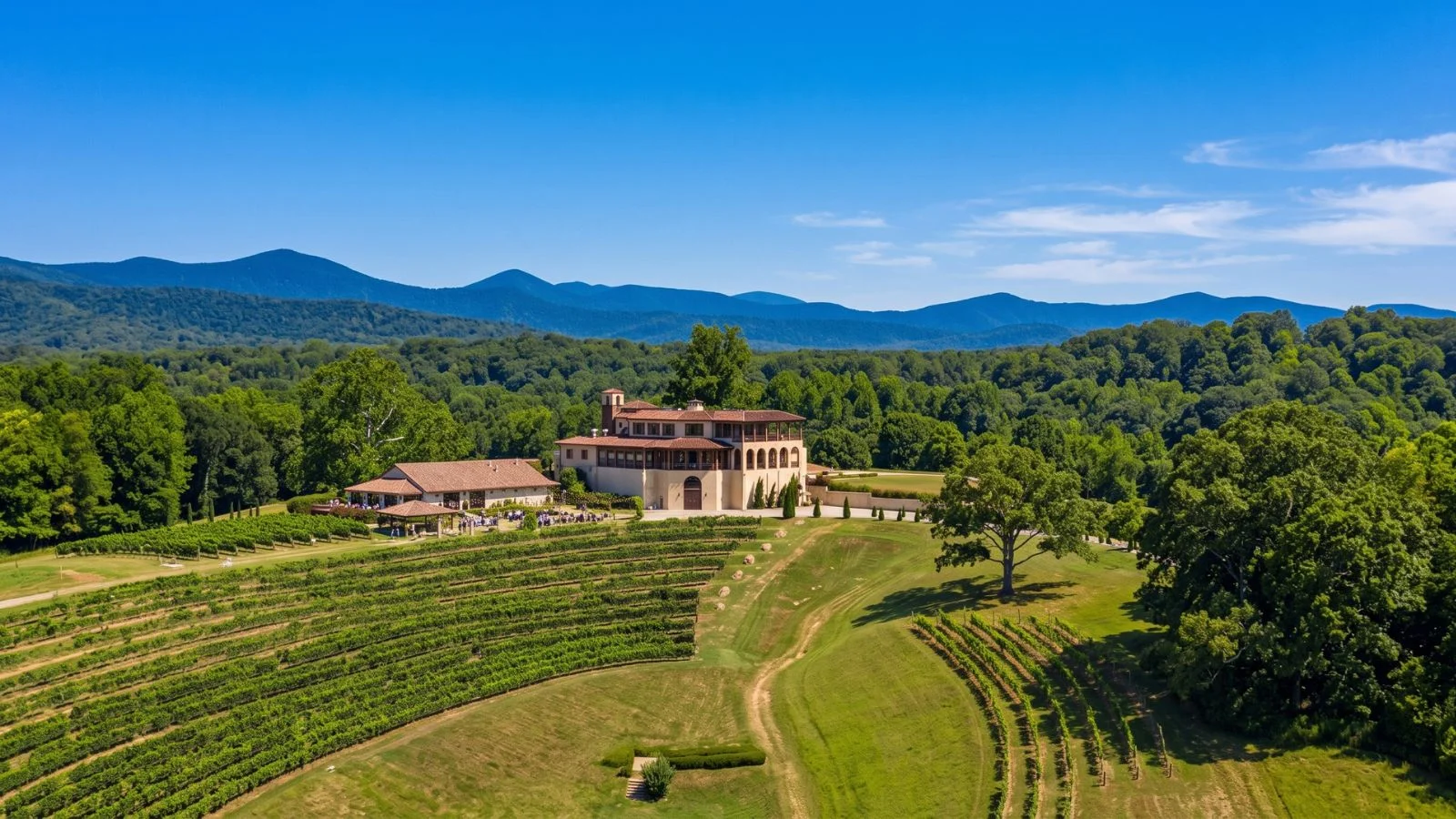 Vineyard and Blue Ridge mountain scenery in Dahlonega, Georgia wine country